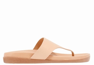 Tong Ancient Greek Sandals Mera Footbed   | YNB-8464237